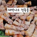 돼박나소