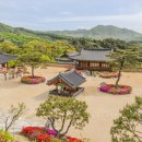 긴밤스테이 | 충주 절 석종사 방문 후기 템플스테이 가능한 조용한 사찰