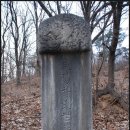 박세영선생묘 및 신도비 | 고양시 묘표에 나타나는 일월문 문양