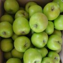 흥이많은농부 이미지