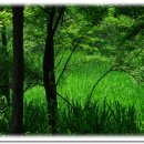 마석4리 이미지