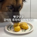 빵긋댕긋 이미지