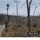 군산시어청도보건지소 이미지