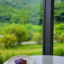 정읍 허브원 라벤더 카페 후기 | 메뉴 가격 주차 영업시간 한눈에