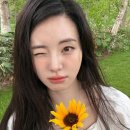 신시아 카카오 검색결과