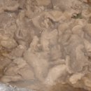 개미기사식당 이미지