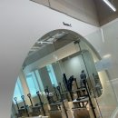 필라스테이 | 이태원 필라테스 1인 대신 그룹 레슨 후기 , 필라스테이