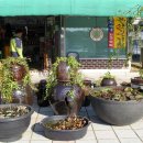 낙원민속촌 이미지