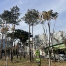 가마 교차로 2 이미지