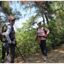 금광산성 이미지