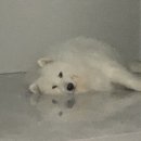 리에또과자점 네이버블로그