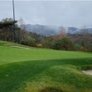 월드그린골프연습장 이미지