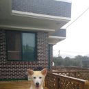 마당안집