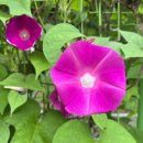 갈촌탈박물관 이미지