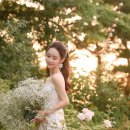 마제리에 이미지