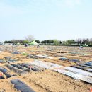 여가농장 이미지