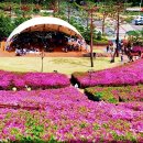 철쭉동산 이미지