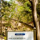 세동푸드