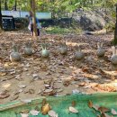 지양산 해맞이마을 이미지