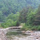 홍스캐빈 이미지