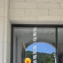호암미술관 후기-주차장 꿀팁, 할인