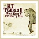 KT Tunstall - Suddenly I See 이미지