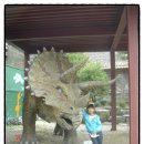 수아농장 이미지