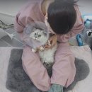 두부두부캣묭실 이미지