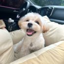 솔밭왓앤와이유치원 | 여름 나기
