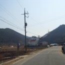 오암1리경로당 Daum카페