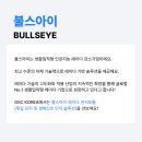 주식회사 불스아이 이미지