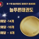 푸른태권도체육관 이미지