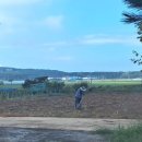 솔소리농장 이미지