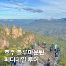 블루관광여행사㈜ | 호주 시드니 여행, 블루마운틴 페더데일 동물원 주간 투어 후기