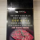 육백더육백 | [의정부] 육백더 본점 신메뉴 오겹살 출시 오겹살 후기