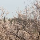 설동경로당 이미지