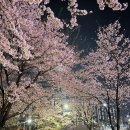 (주)휴먼필드 | 위례 휴먼링 러닝코스 직접 뛰어본 후기 (4.3km 코스)