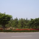 금락1리 이미지