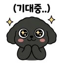 강릉햇살 네이버블로그