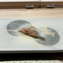 능력프라자 | 인천 청라 스시 오마카세 맛집 스시료우 런치 후기