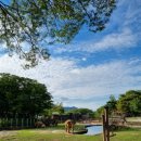 세븐일레븐 대공원돌고래점 이미지