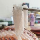 노다지수산 티스토리