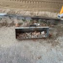 상산초교병설유치원 이미지