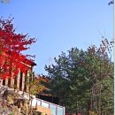 이뉴펜션2 이미지