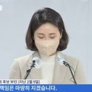 '김혜경 법인카드 의혹' 제보자 "투표 국민 알권리위해 제보" 이미지