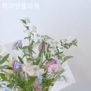 제이는특별해
