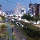 도림천 산책로4 이미지