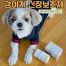 강아지 신장 결석 신장암 관리 본아페티 키드니캡스 신장 영양제 후기