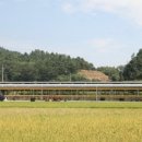 행정심판구제전문행정사 이미지