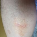 빛고을문흥종로약국 이미지